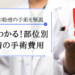 2つの粉瘤の手術を解説！すぐわかる部位別手術費用を簡単紹介